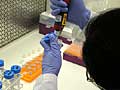 Vaccine research