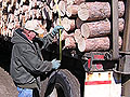 Timber truck