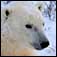 Reports from a Warming Planet