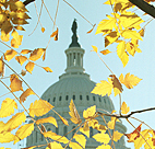U.S. Capitol Building 