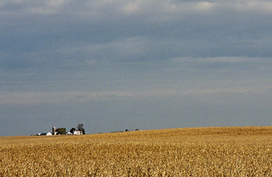 
                    The Iowa Prarie
                                            (Gideon D'Arcangelo)
                                        