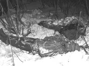 Poll: What and when is armistice day - Homesteading Questions