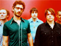 The Honeydogs
