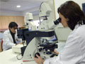 Alzheimer's research