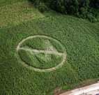 Local farmers and Greenpeace volunteers ... 