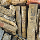 Larger view