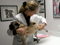 Dr. Hunter in action