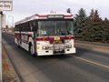 Buses only