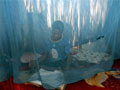 boy in mosquito net