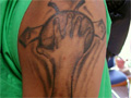 Larger view