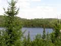 A lake scene