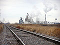 Heartland plant