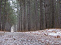 Larger view