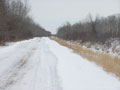 Contested trail