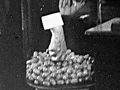The draft, ca. 1969