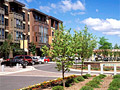 Town Green