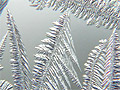 A frosty window
