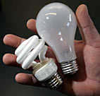 Fluorescent and incandescent light bulbs. 