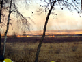 Brush fire near Leech Lake