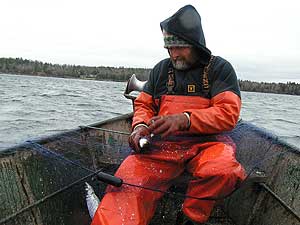 commercial fishermen