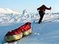 Pulling a sled