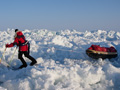 To the Arctic, but not this year