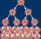 Entrepreneurial+process+diagram