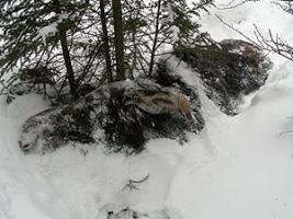 Larger view