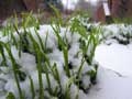 Signs of spring and winter