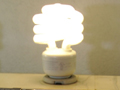 The compact  fluorescent
