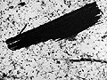 Taconite fiber