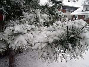 Larger view