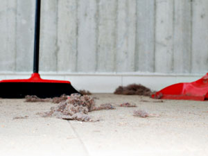 A dust pan and broom 