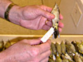 Larger view