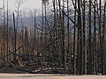 Larger view