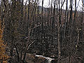 Larger view