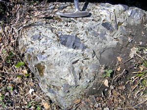 Larger view