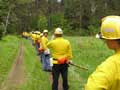 Fireline at fire school