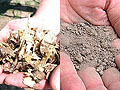 Turkey litter before and after