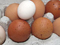 Eggs