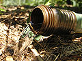 Water hose