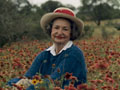 Lady Bird Johnson in a field of wildflowers