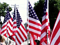 Flag-lined street