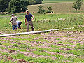 Featherstone Farms
