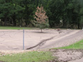 Larger view