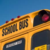 School bus 