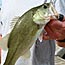 The fishing is good again in Venice, La.