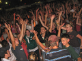 Hands in the air