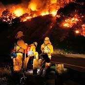 Firefighters at Fawnskin blaze 