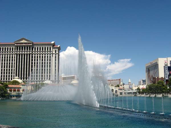 
                The fountain at the Bellagio Hotel in Las Vegas.
                                    (Stacey Vanek-Smith)
                                